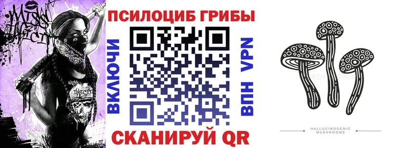 Псилоцибиновые грибы MAGIC MUSHROOMS  где найти   Краснокамск 